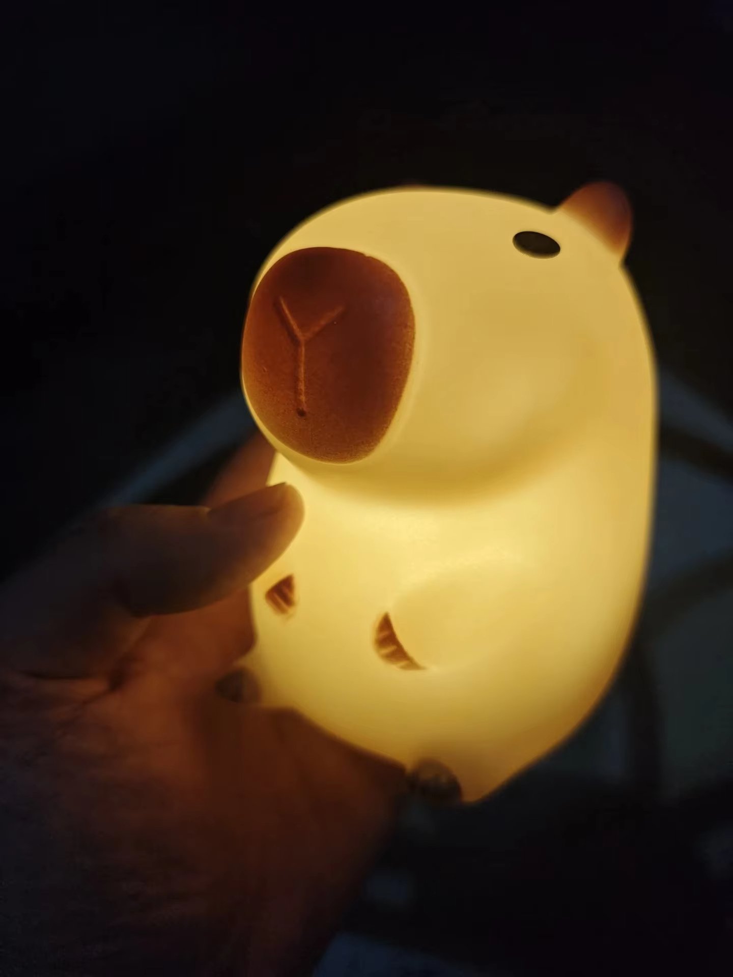 Capybara Night Light Bedside Lamp