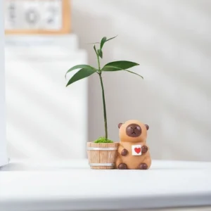 Mini Capybara and Frog Plant Pot